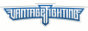 vantage_fighting
